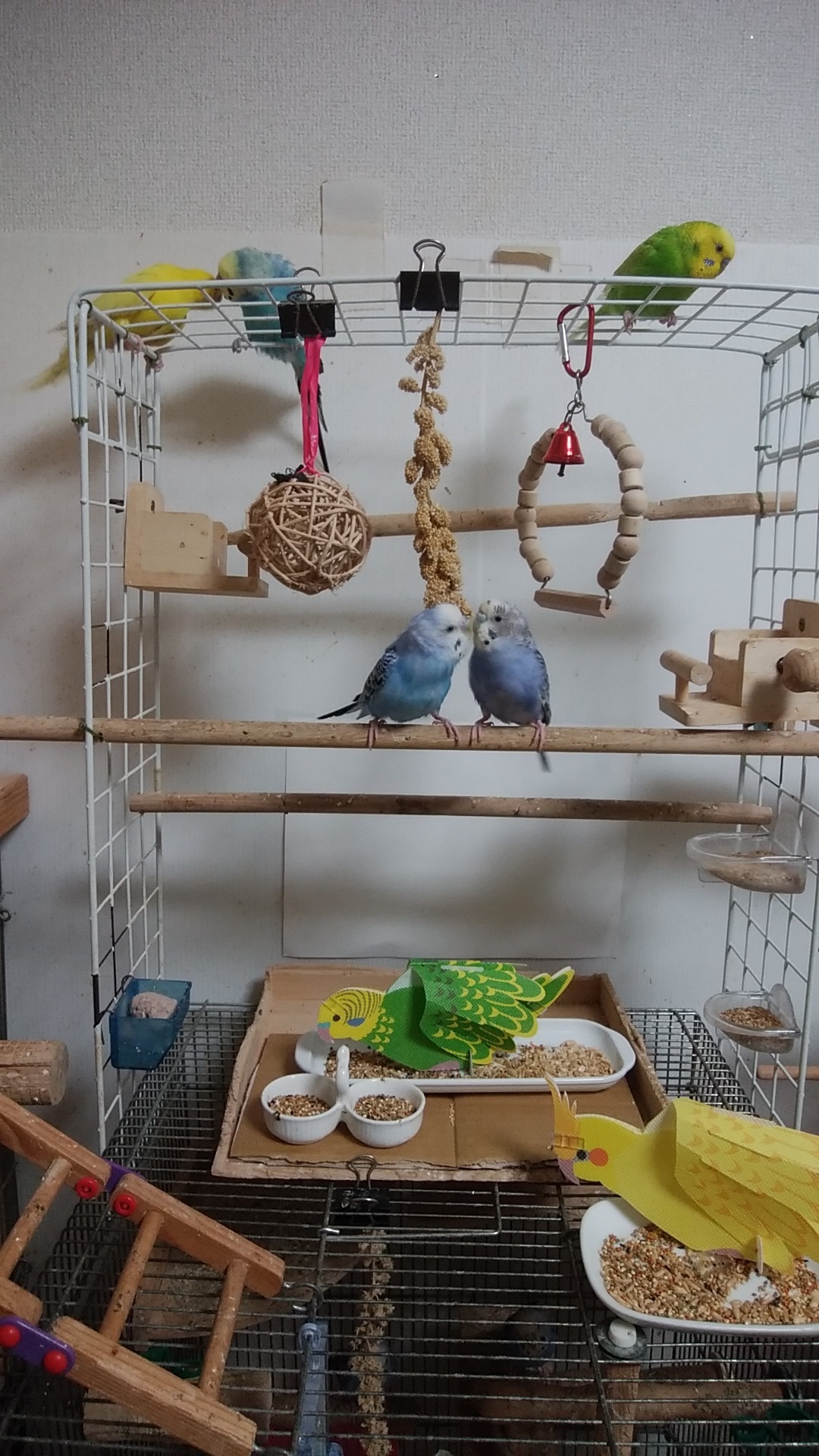 インコちゃんの加湿器.jpg