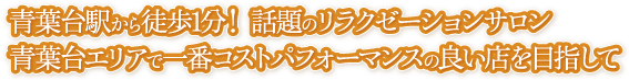 青葉台駅から徒歩1分のリラクゼーションサロン